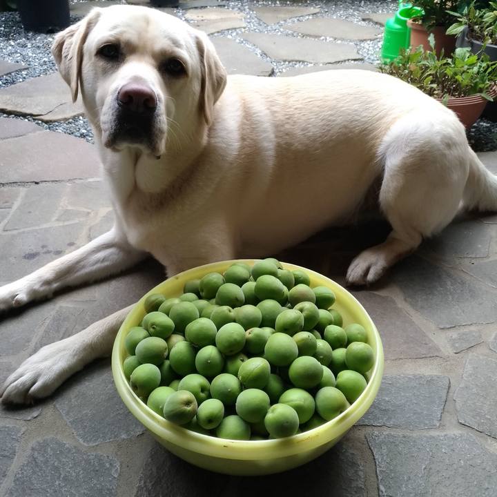 E952cfbc aca0 445a ad94 94962230a979 1559453050009