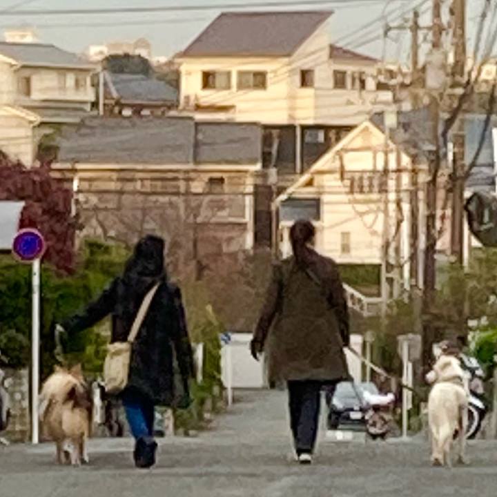 E952ec1c e071 4dd9 acf1 b81c6cefc9eb 1674319969964