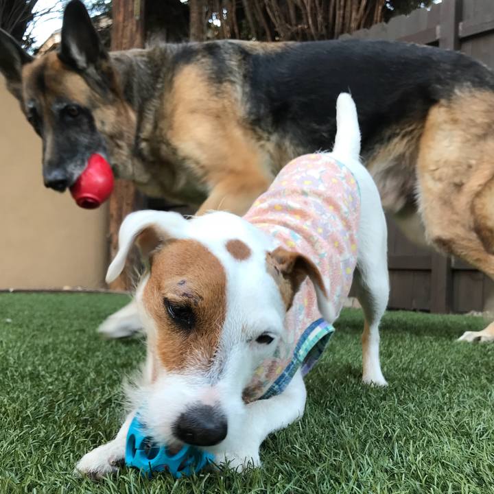 E952f571 2d89 40f7 b3ce d94255fbee10 1514507743914