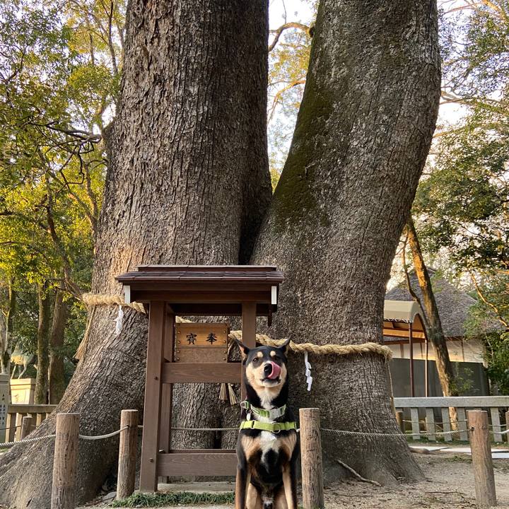 E9533788 6fb1 417f 9b56 af84588626fc 1644753803443