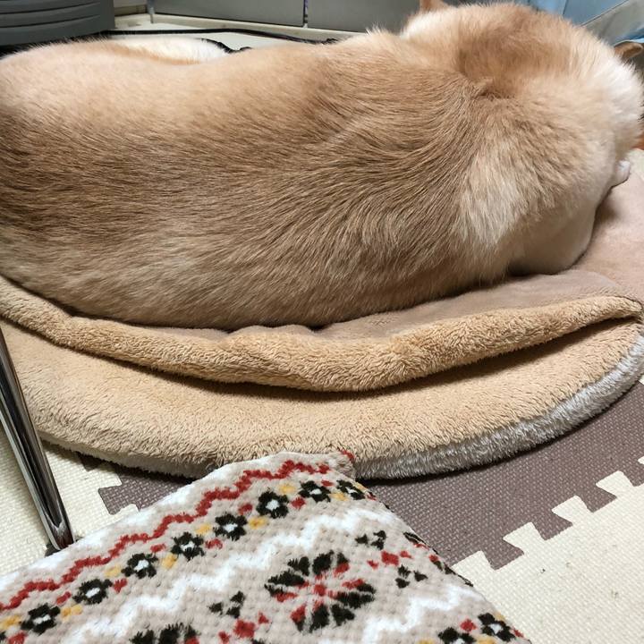 E9533d31 4b6e 4462 acc9 c6202db27bf1 1542062596621