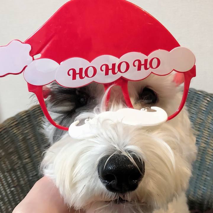 E9534d93 31de 47b3 9dca f864f81d22d9 1577286467931