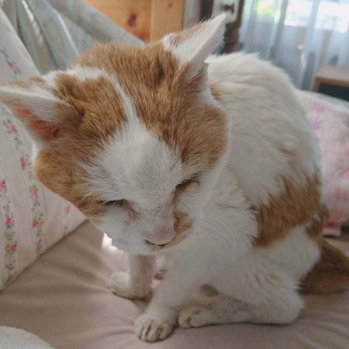 E9535d47 c877 4a2d b635 bde831ed712f 1623646744986