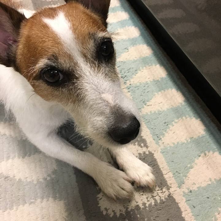 E953ace3 28fd 420b acf6 82fc467f96af 1565739538498