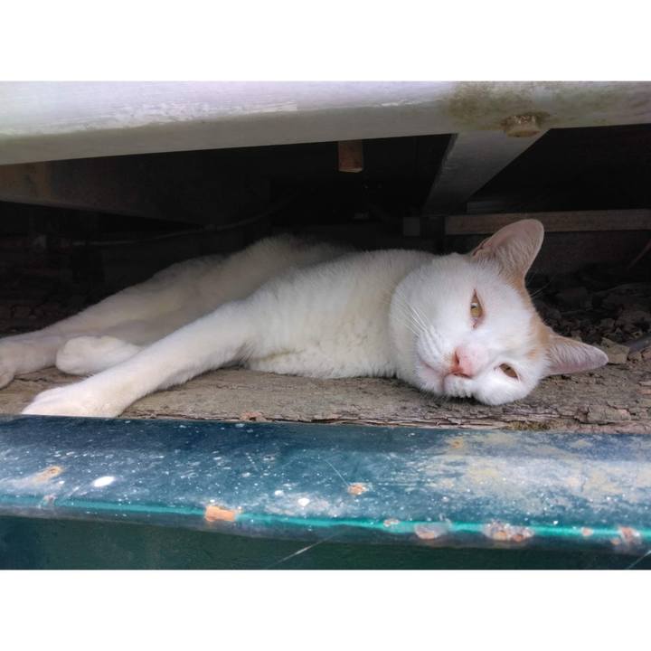 E953c926 f4f7 4ada 82a3 584fb3022702 1660634116763