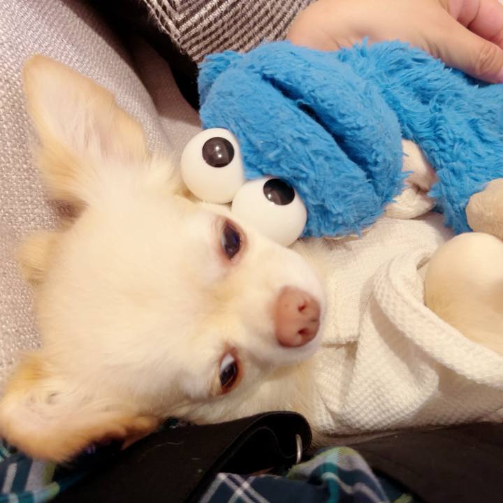 E953e05d 66de 4c4e 8fa1 9178911b3cd0 1696326863931