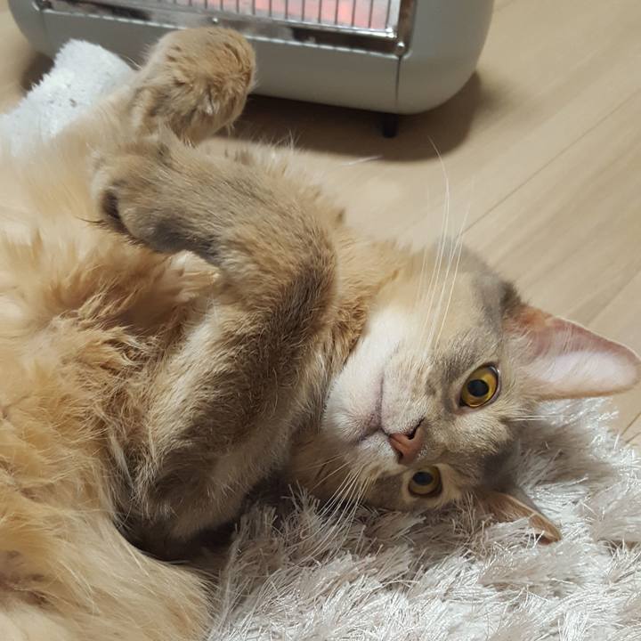 E953fa2d b3f1 4933 9233 ec04c9c88efe 1582886234985