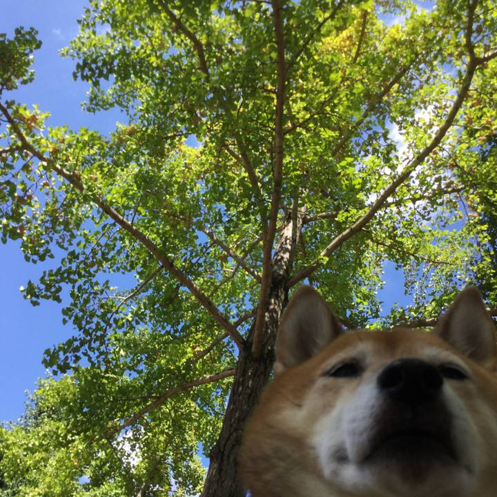 E9540115 bccf 4131 ad6d 2f0e539ca19c 1568869915797