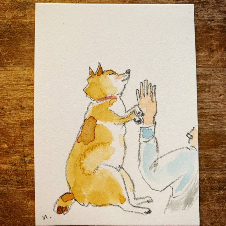 E9540dff 9d25 4581 94b7 c8a4aa59ec88 1606873953019