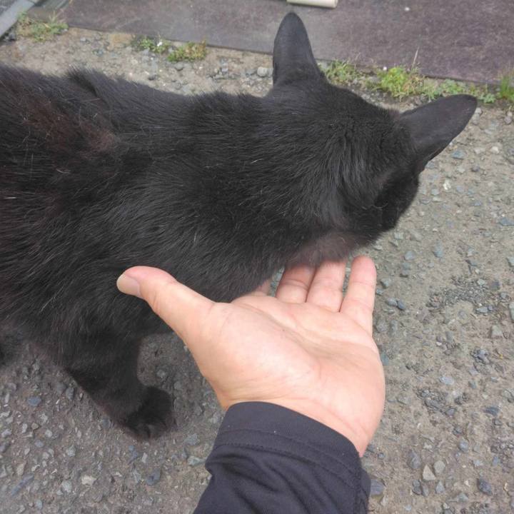 E9541127 a4a0 4688 8629 4cabd37c2883 1720484538527