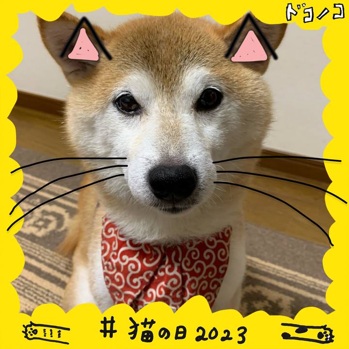 E954234f 1379 4d3f 97db 9be86d96a417 1677051863151