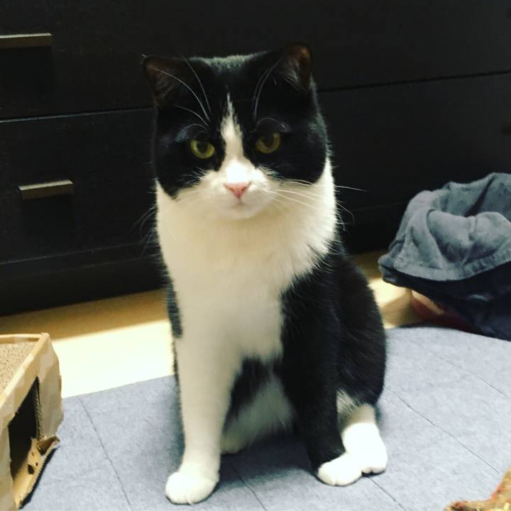 E9542edd 3445 4f76 bda4 98bd5d5214c2 1604486310700