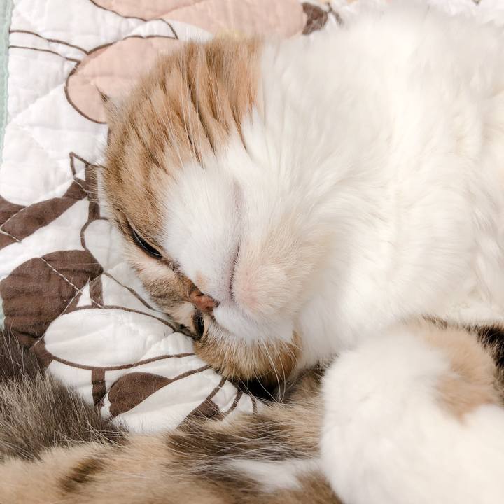 E95431d9 4b68 48b2 b9d7 4f522d96b754 1558426238961