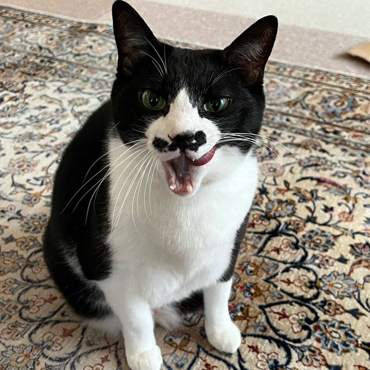 E95443db 1dce 4173 9004 7a3a9cbb5ceb 1766356200193