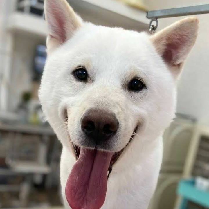 E9548cc1 bcdc 461a 9e59 1c0552697d34 1617444528863