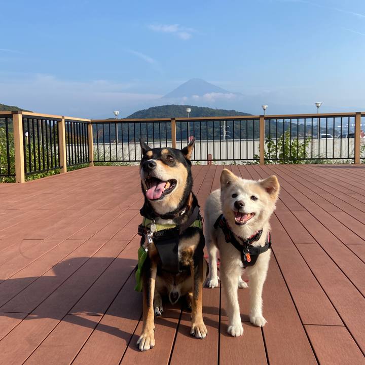 E954bd30 e7a9 458a 8238 4e67b0cdac47 1699289788188