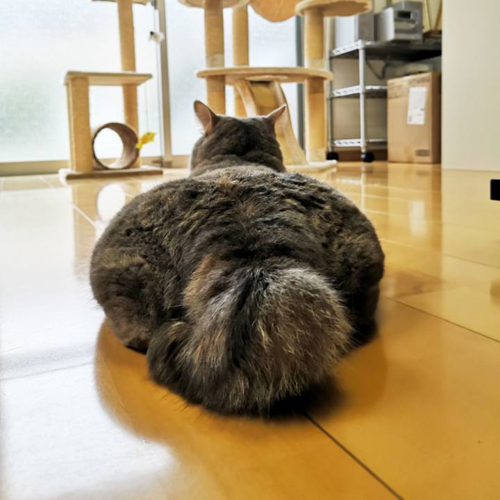 E954eb4c 8447 4d35 984d c2a700d80089 1566184925619