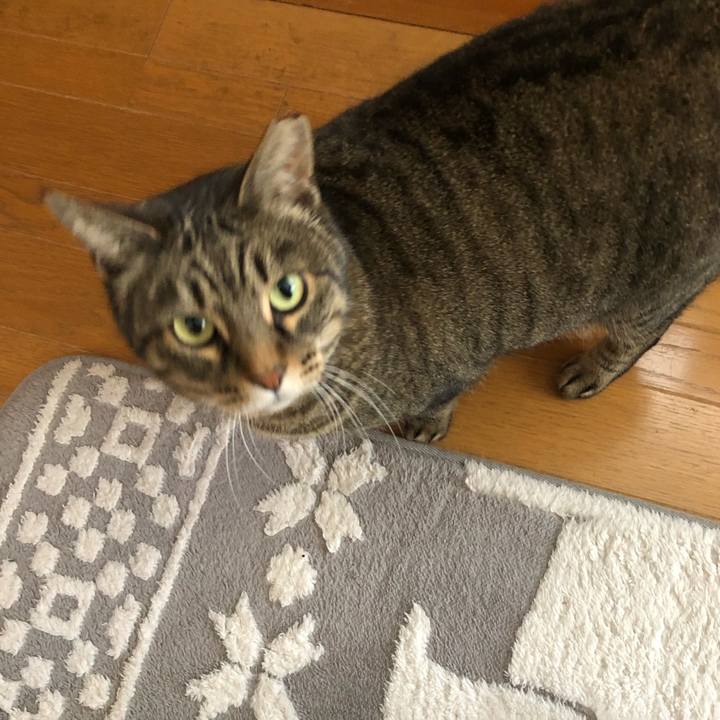 E954ed38 baf3 4c46 8694 f9d99f632bca 1577265863024