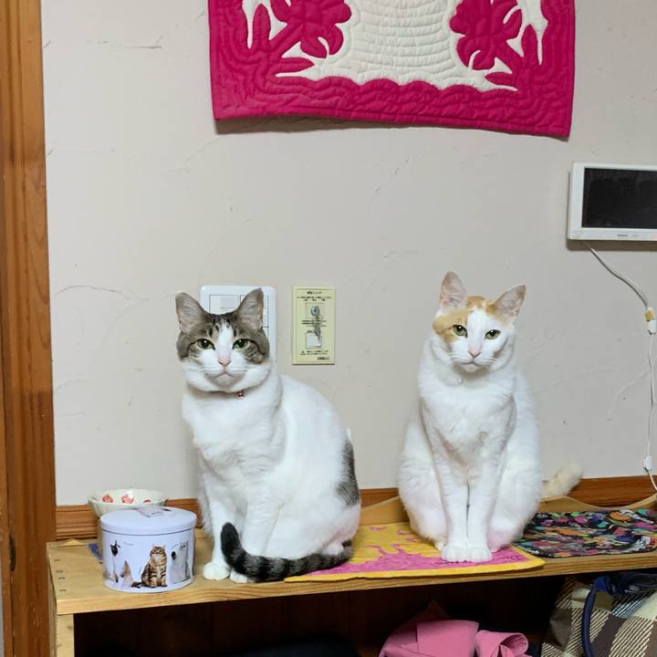 E9551253 6bc0 4a63 a439 751af7f56a2b 1611872309266