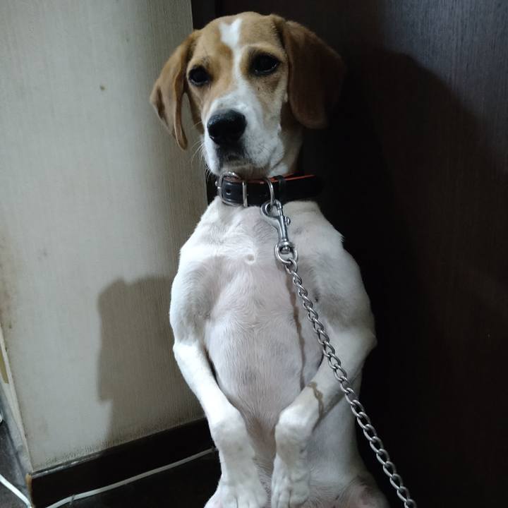 E9553b84 5299 4f8e b747 8b4462309cfc 1627907175242