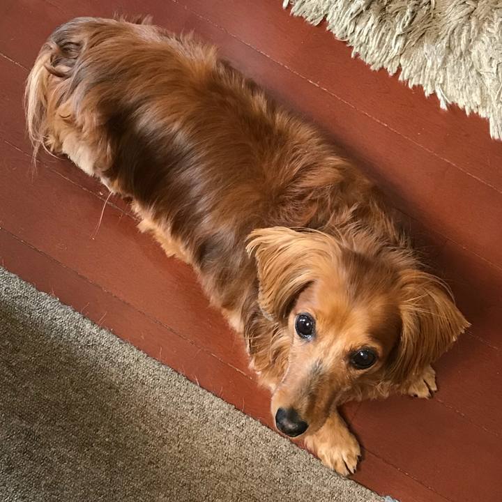 E9555307 e7ba 4296 be99 f9cafb80454d 1533439304891