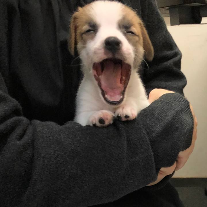 E9556718 eadf 4e04 ad49 8daef2471f62 1541901077685