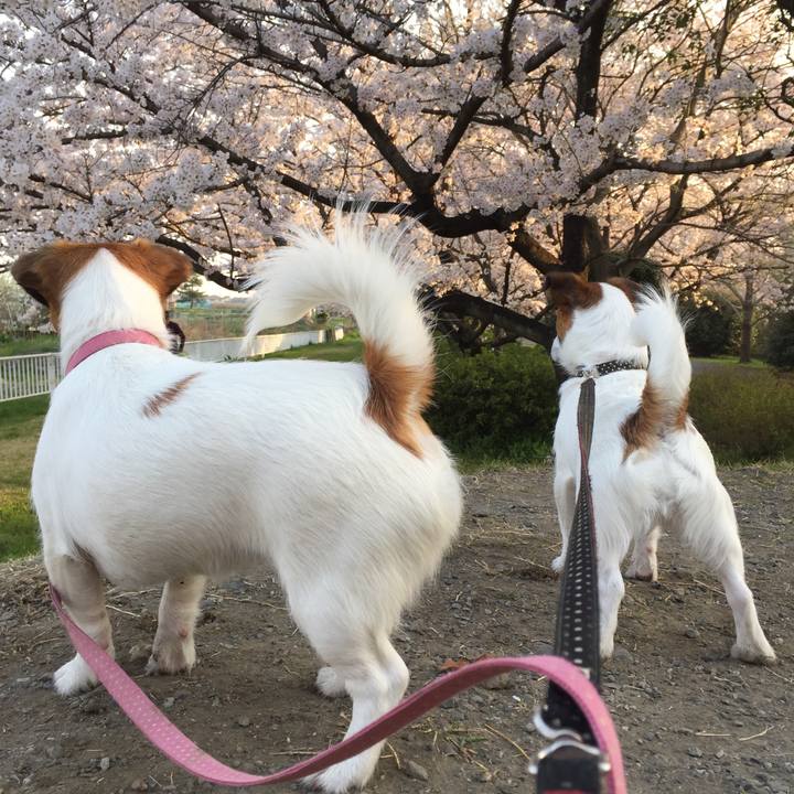 E95597f9 81f8 4158 bf41 fc3e27fd9071 1522280236926