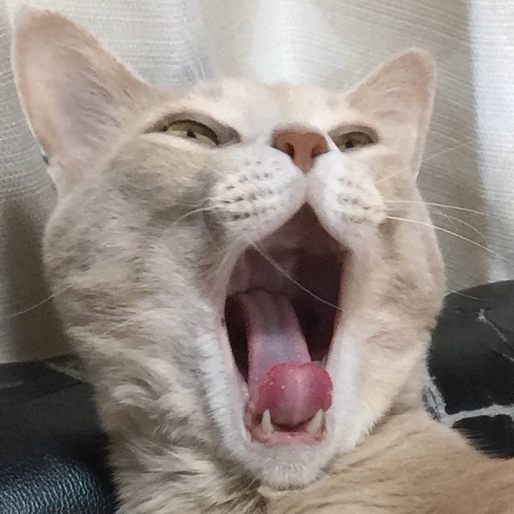 E955c730 589f 4d70 bf09 5114b01fd847 1563795310954