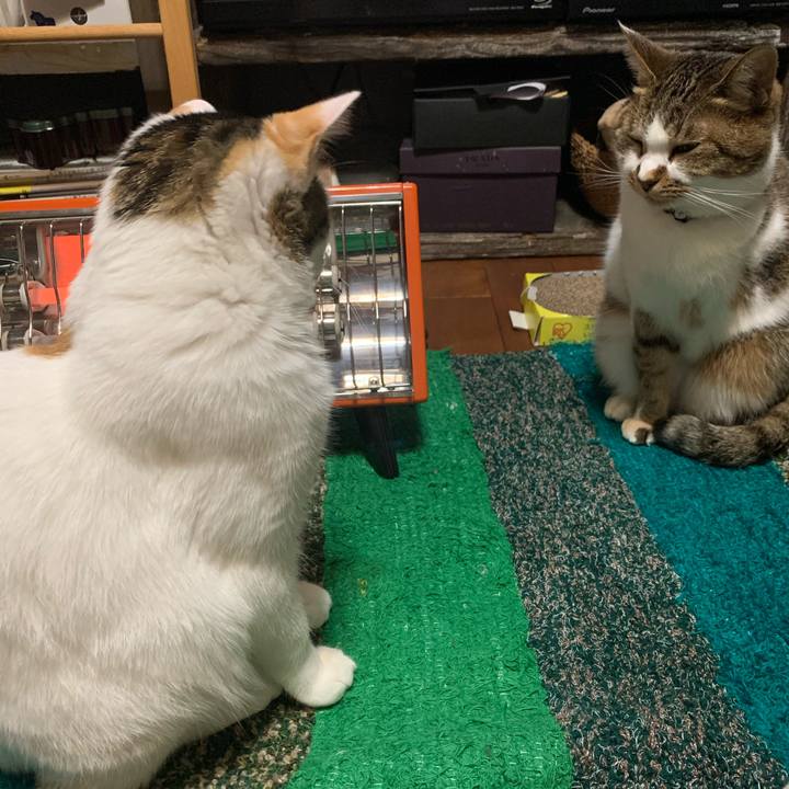 E955e1df 132d 4f10 834c de9dd3bcb5c6 1606749205198