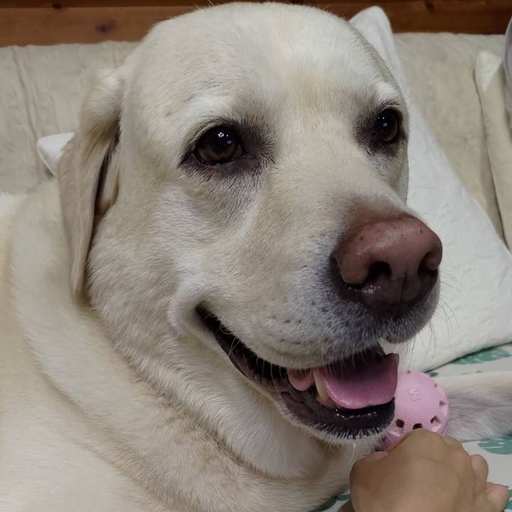 E955f25d 98f0 42fe ab8e 44cbf52469d3 1657720765625