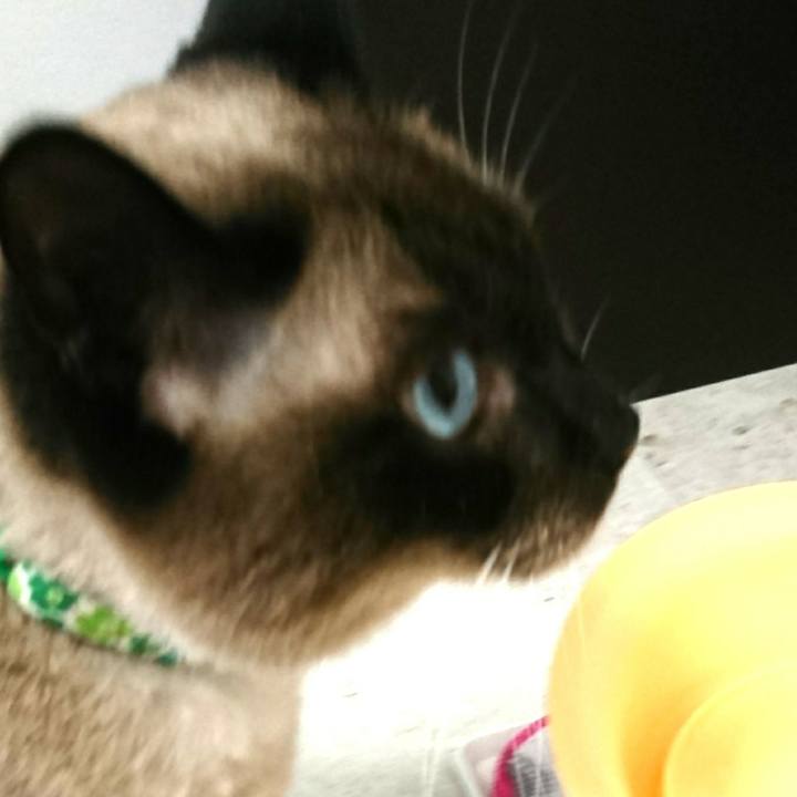 E955fa73 f65e 45ee b81c 4238ee7dbbaf 1530319129583