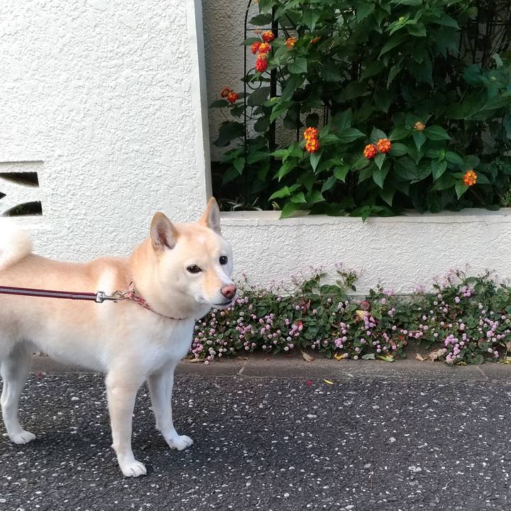 E9560a62 3d9a 4c87 b5a4 bd072a3e8ae6 1605911717660