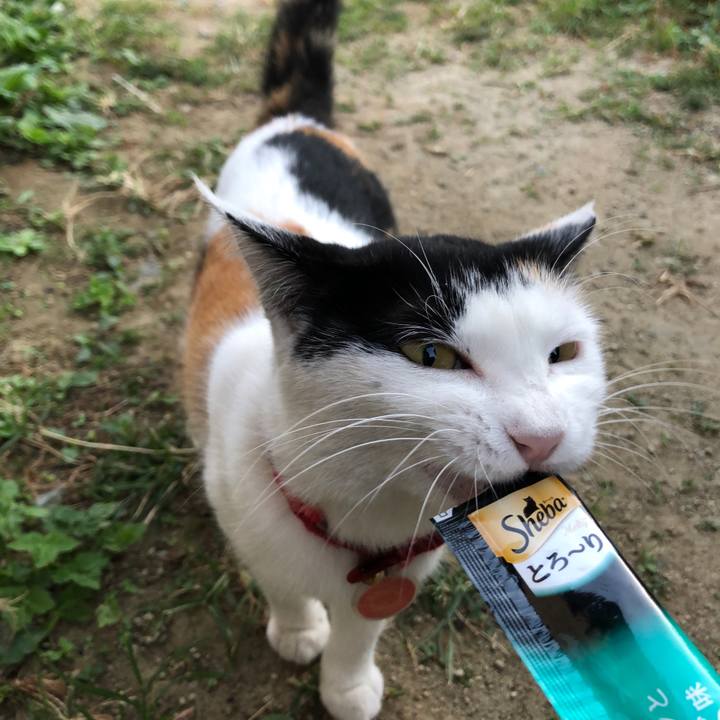 E9560cfb b090 4c35 b78b bb2276823f00 1634249135954