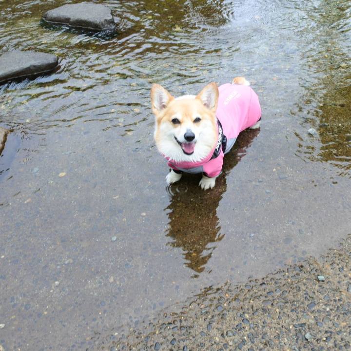 E9562156 30f2 4de3 8ecf 4a553f2cf0ff 1685025292257