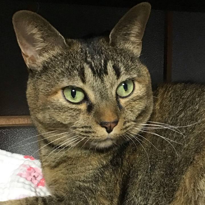 E95636c9 7777 4d12 a2d4 1884d951f890 1759738923497