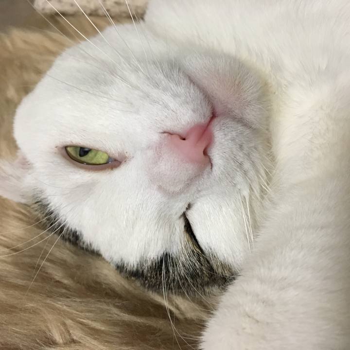 E95644b1 5283 4858 910e af2545d2889e 1519042633491