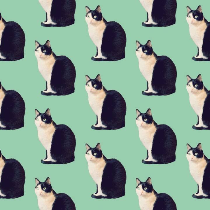 E95649f9 1eeb 491a 878a 1c533c2474be 1645271279648