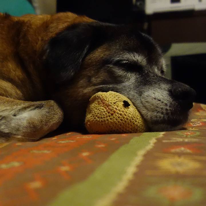 E9565a85 72e0 42b2 b8c8 a8605ece92cd 1544535117830