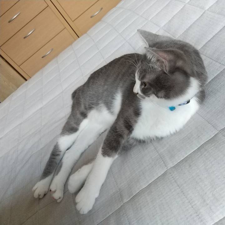 E956608a 2831 4b86 83de aa247bd8b983 1596672309470