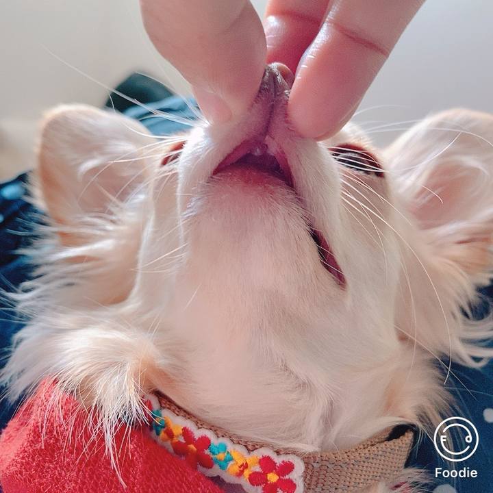 E956b843 7ae6 437c 8692 9d188e484908 1606093359800