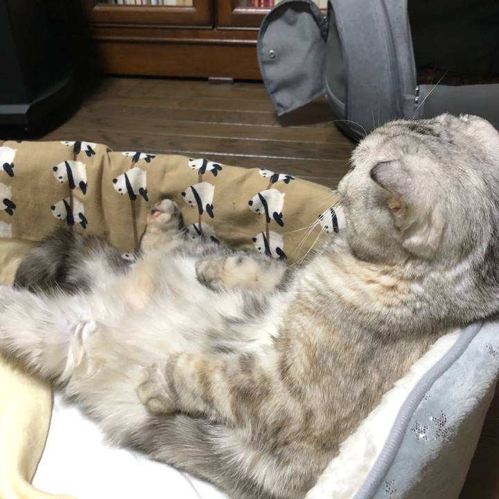 E956edf1 0f1c 49a3 a19a 2c27baf36fe8 1605328713778