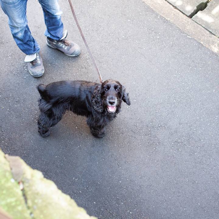 E9571796 f1ca 44d0 9737 b5c32f88a6bb 1549522416075