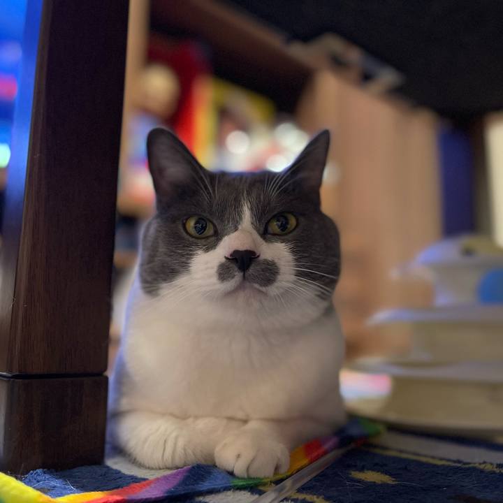 E9575988 cf0b 4bd5 b78b aafc1f0ad598 1657032626355