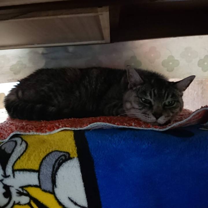 E9575ed4 e7d4 439e b707 b68e8e4b53f5 1605125763321