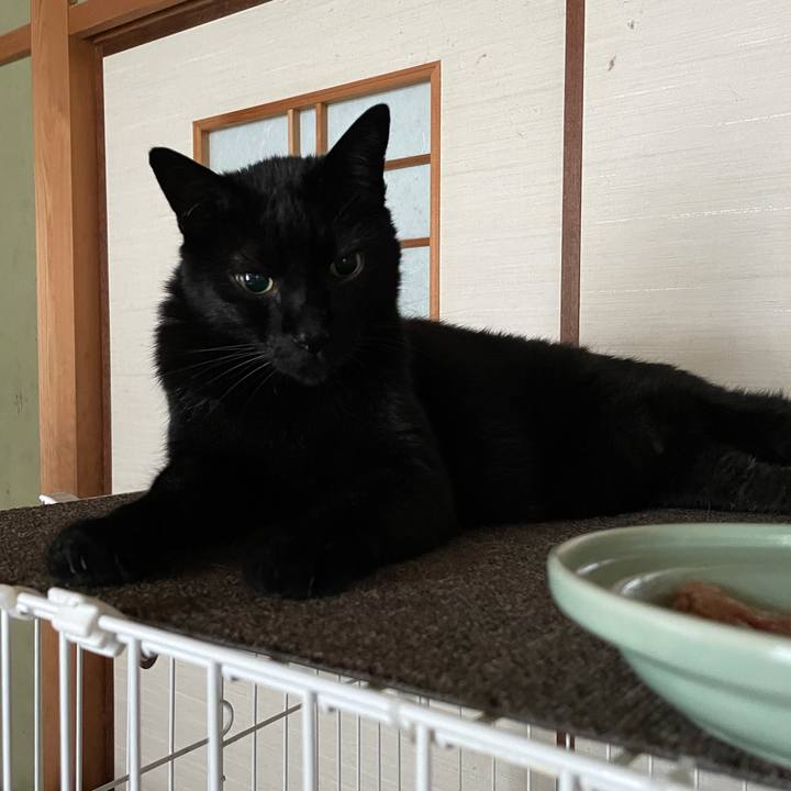 E957782f 587c 4310 a417 db99f3b8d5d1 1625365354856