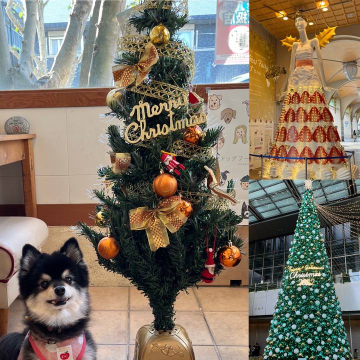 E9578485 de2f 4404 905d 9415073d4a3d 1671987032602