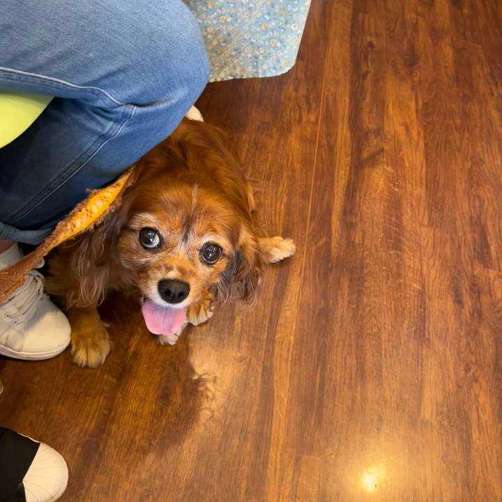 E957a637 f9a5 4207 aecb 60c0e2dd8d5e 1718056542488