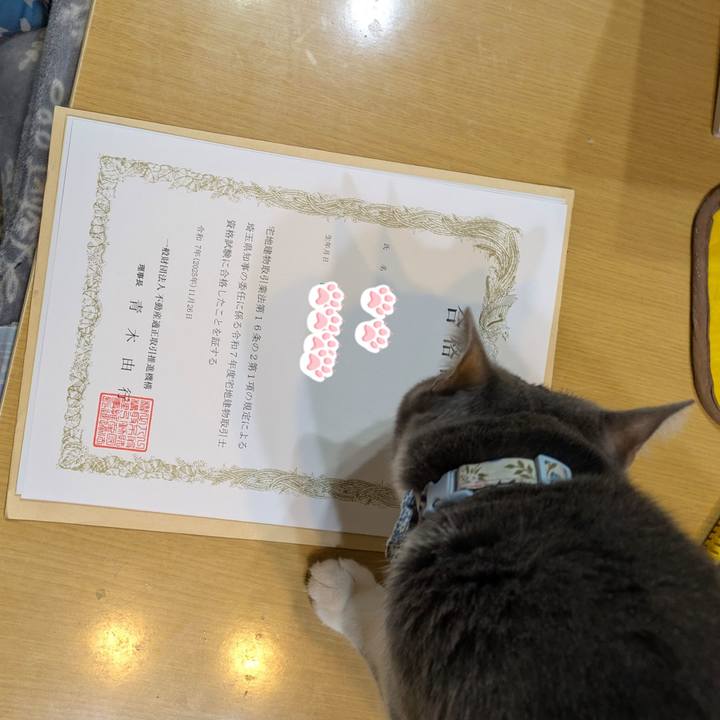 E957bd31 cce3 4f9c a2df 0a50039afc03 1764244191754