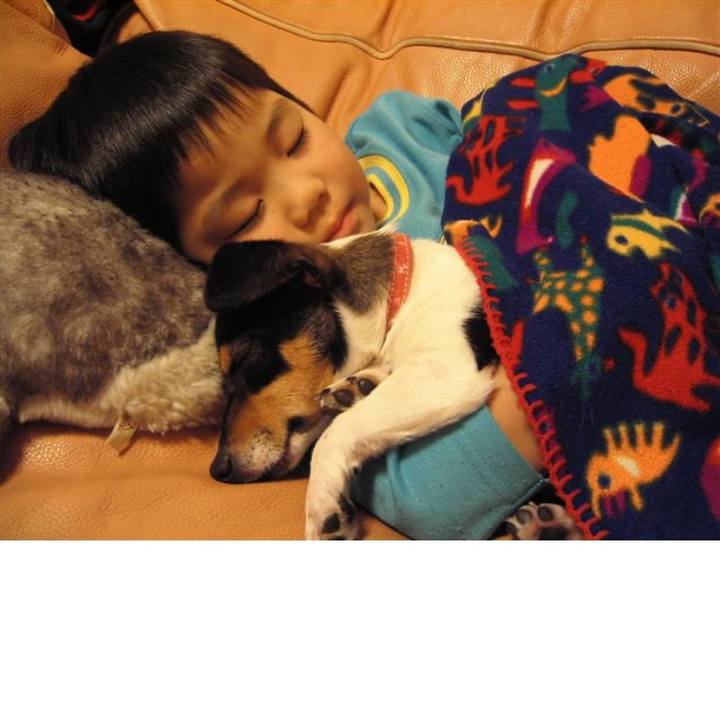 E957c371 2422 4511 a312 6e76739fc3ba 1575267901013