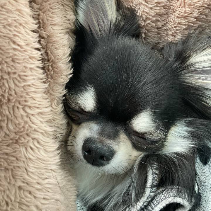 E957d834 ed91 45fb a8a5 eac3887568ae 1608962900493